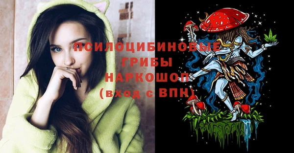 мдпв Волоколамск