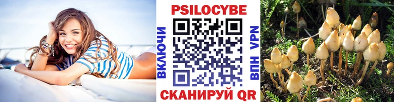 наркота  Игарка  Галлюциногенные грибы Cubensis 